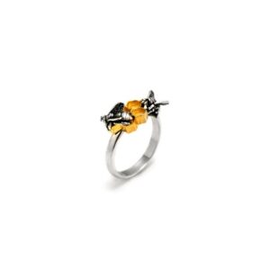 Anello Alveare, Giovanni Raspini
