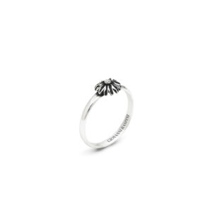 Anello Margherita luce, Giovanni Raspini