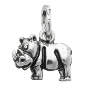 Charm Rino, Giovanni Raspini