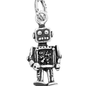 Charm Robot grande, Giovanni Raspini
