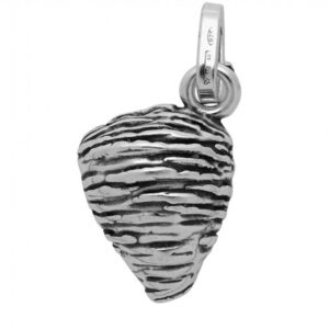 Charm Sfogliatella, Giovanni Raspini
